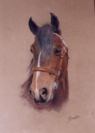 Le crack Pastel 40x30)